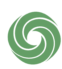 Basic Weight Loss Diets